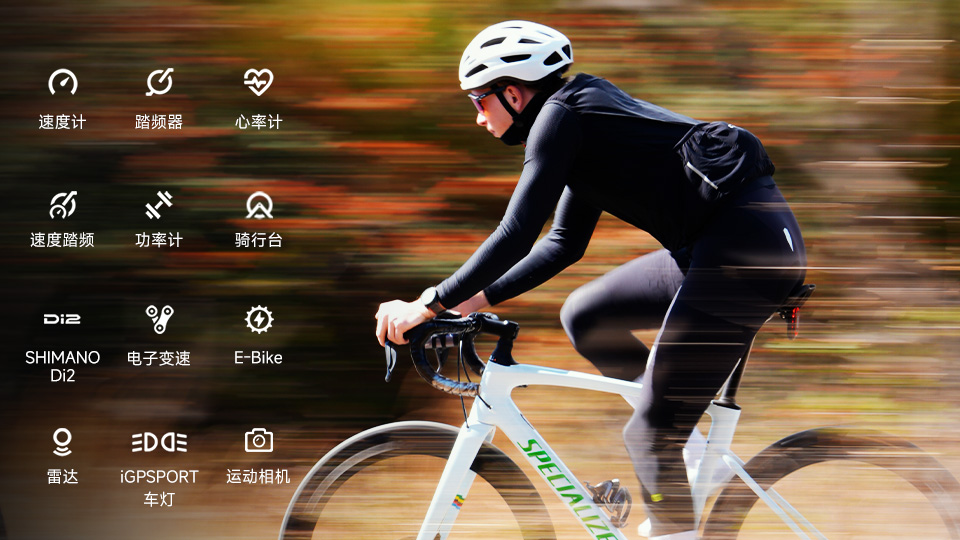 百种数据自定义